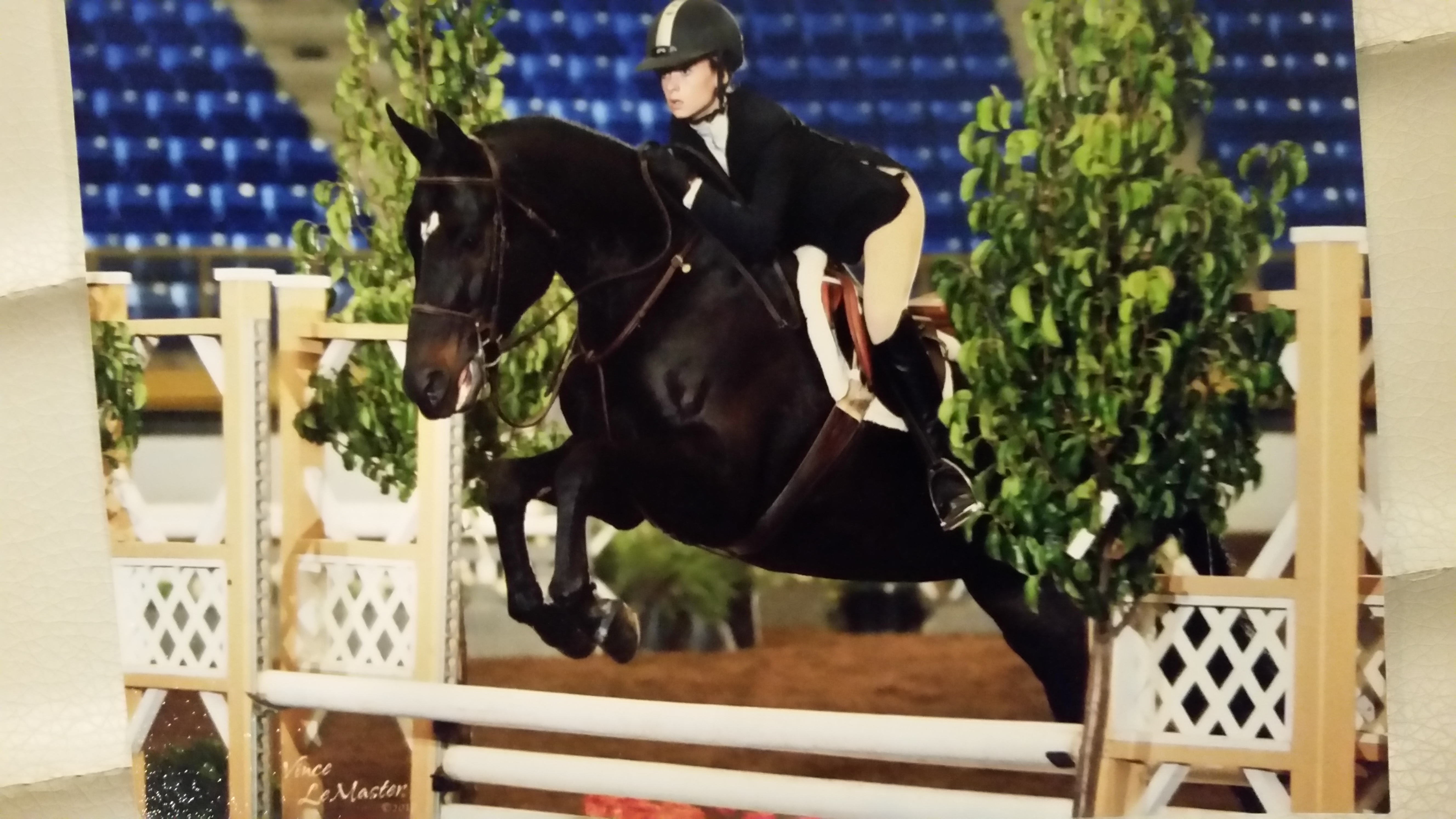 champion jumper junior