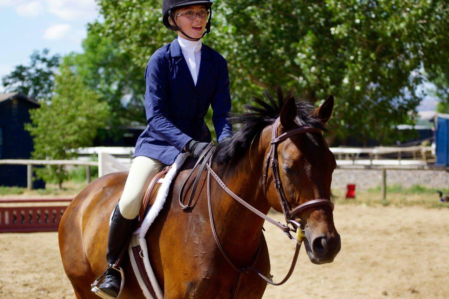 Award Photos | Colorado Hunter Jumper Association