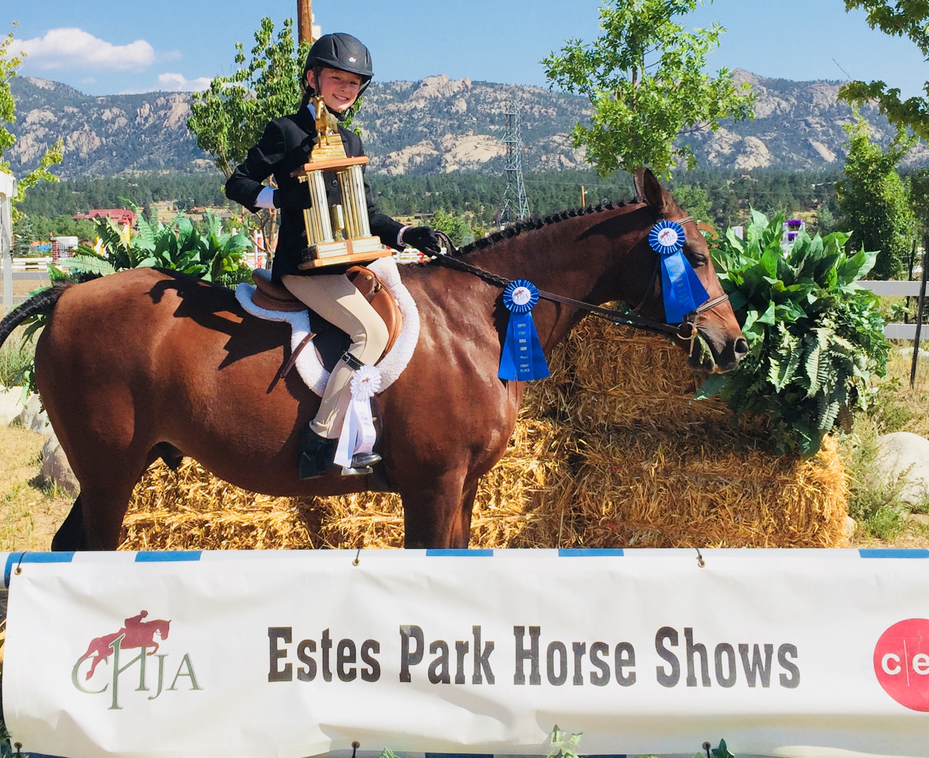 B79DAB5108F24AC4BC7FBB450CABADA4.jpeg Colorado Hunter Jumper Association