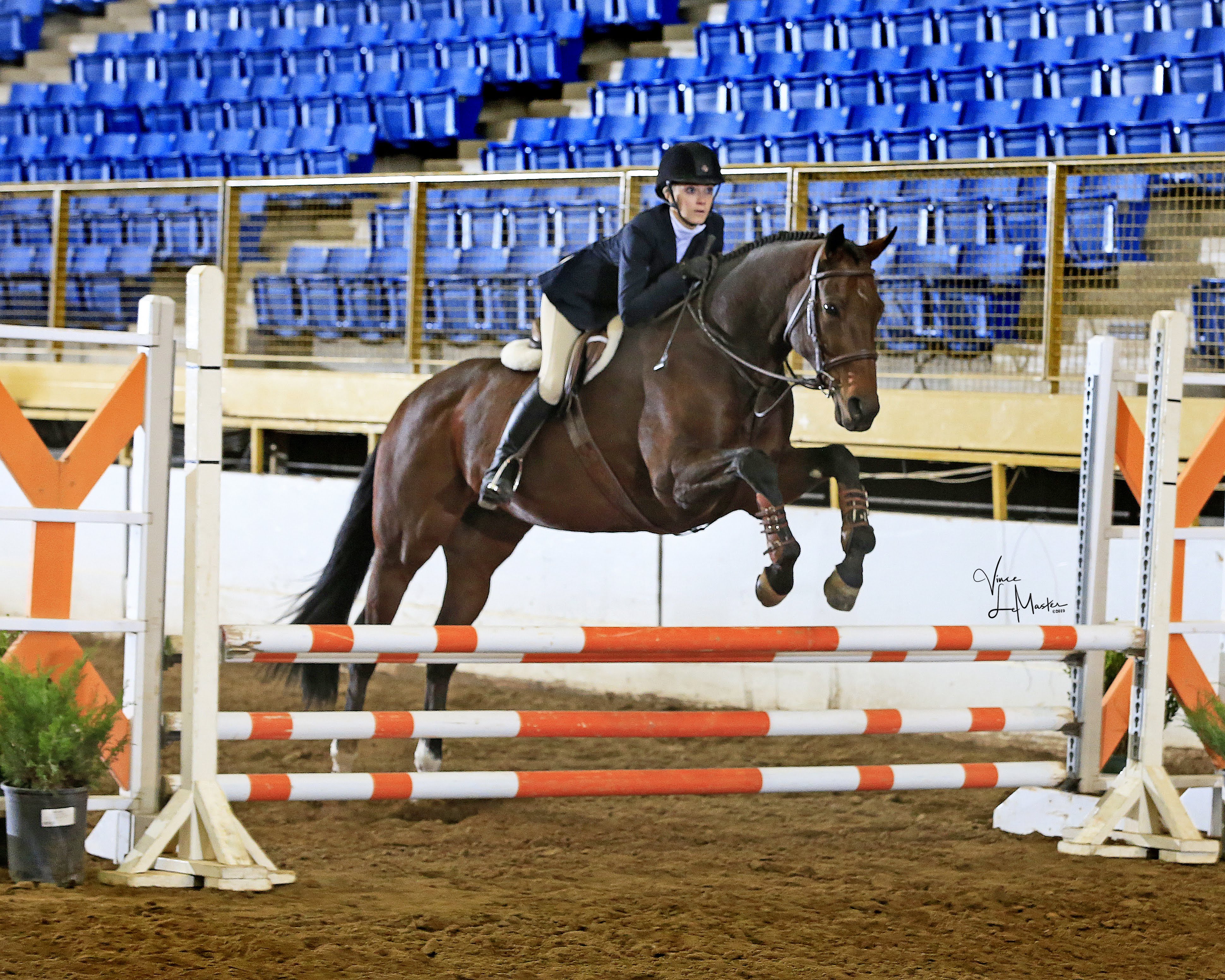 Alexandra Oakley & Paradise Bay-2019 CHJA Medal Finals | Colorado Hunter  Jumper Association