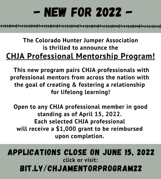 CHJA Professional Mentoriship Program
