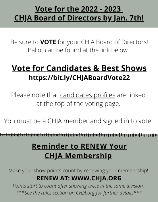 CHJA 2022 Board of Directors