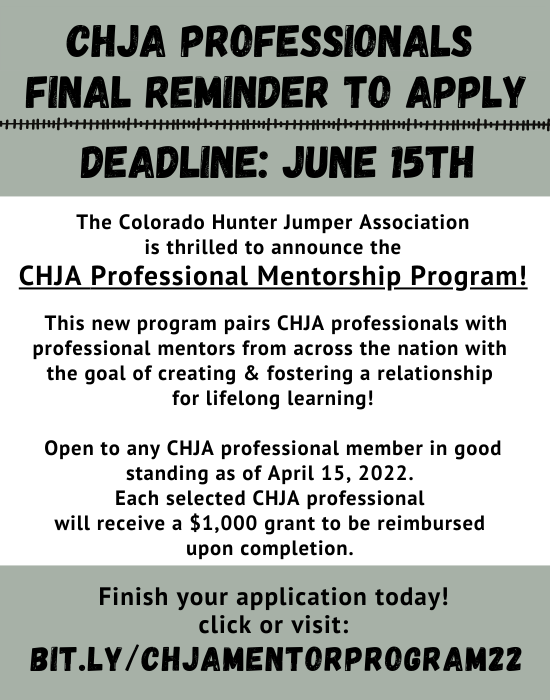 CHJA Professional Mentoriship Program