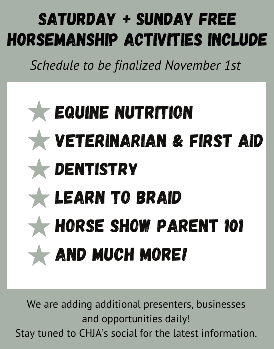 Horsemanship Activities