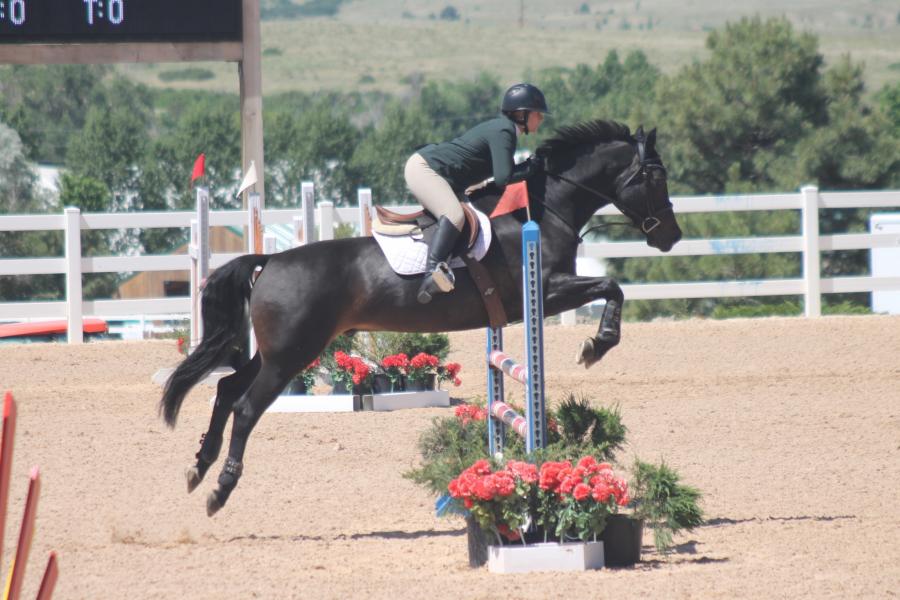 Colorado Hunter Jumper Association